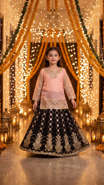 WISHA — Blush & Noir Royal Embroidered Lehenga Set