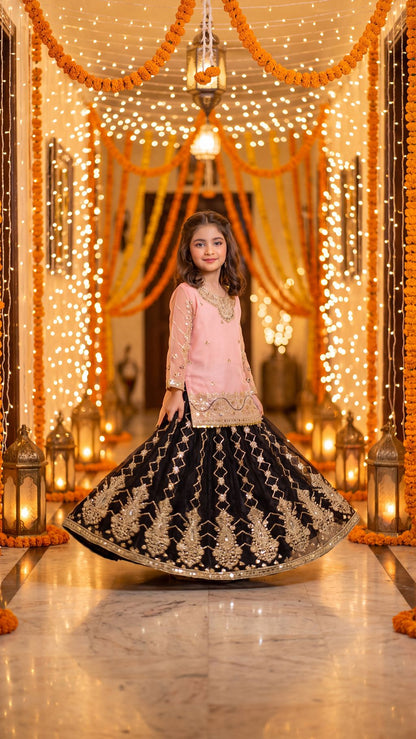 WISHA — Blush & Noir Royal Embroidered Lehenga Set