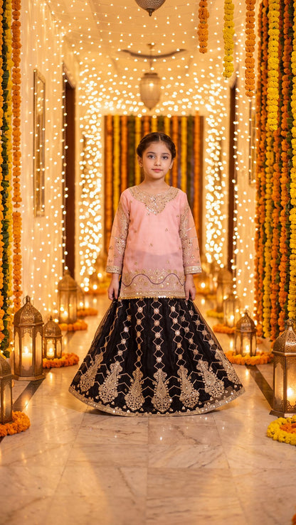 WISHA — Blush & Noir Royal Embroidered Lehenga Set