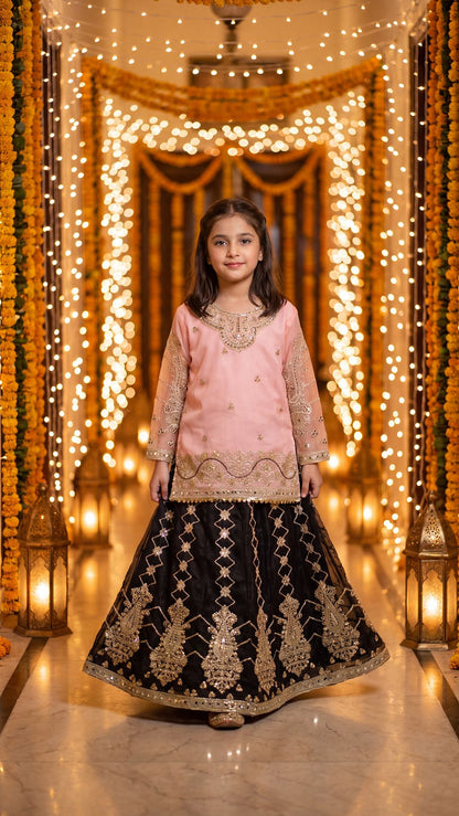 WISHA — Blush & Noir Royal Embroidered Lehenga Set