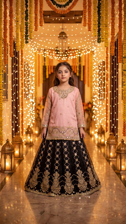 WISHA — Blush & Noir Royal Embroidered Lehenga Set