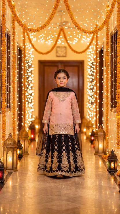WISHA — Blush & Noir Royal Embroidered Lehenga Set