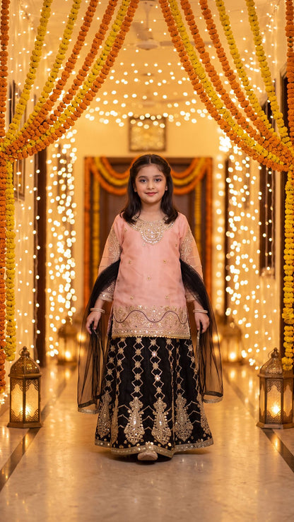 WISHA — Blush & Noir Royal Embroidered Lehenga Set