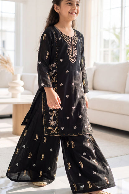 [NEW ARRIVAL] SEHAR -Jet Black Metallic Embroidered 2-Piece