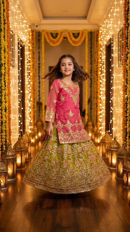 Mahnoor - Pink & Olive Embroidered Lehenga  Set