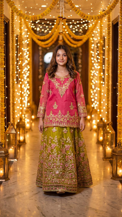 Mahnoor - Pink & Olive Embroidered Lehenga  Set
