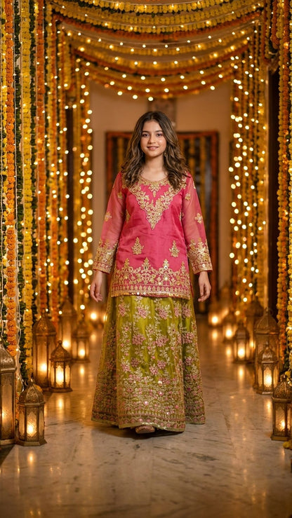 Mahnoor - Pink & Olive Embroidered Lehenga  Set